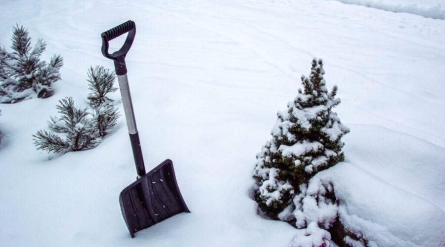 Three schools closed in SRCE as impact from snow continues