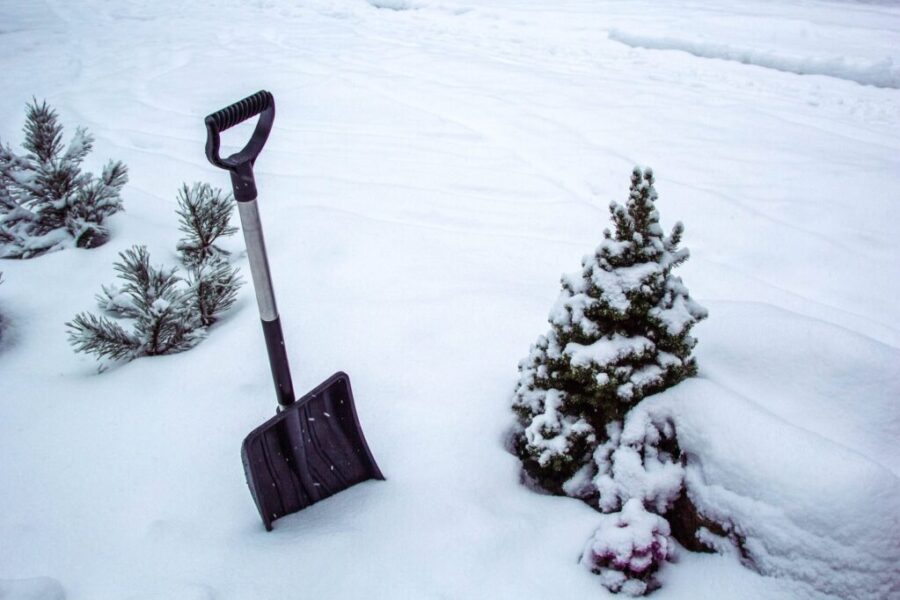 Three schools closed in SRCE as impact from snow continues