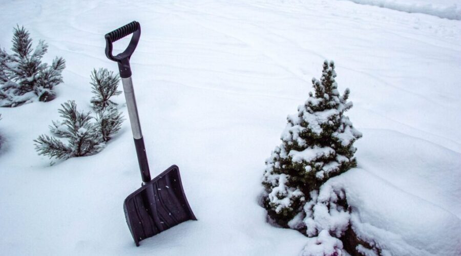 Full range of winter weather forecast this year