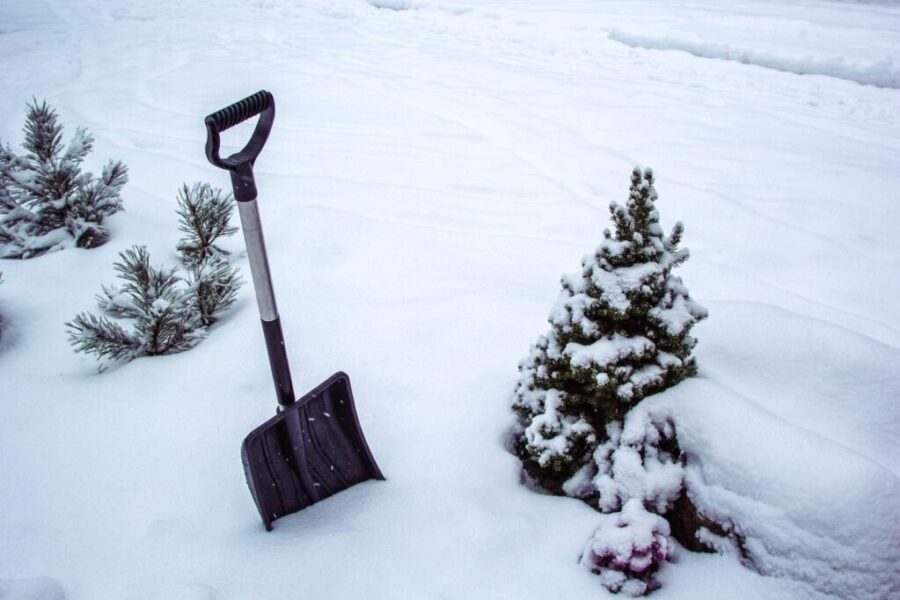 Full range of winter weather forecast this year