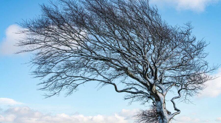 Rain and wind warnings for N.S.