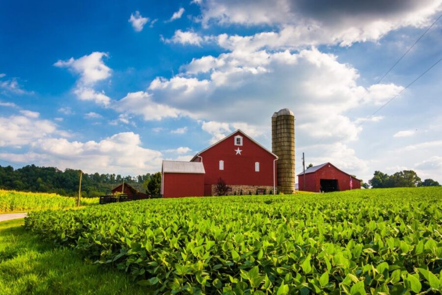 New program to help farmers afford land