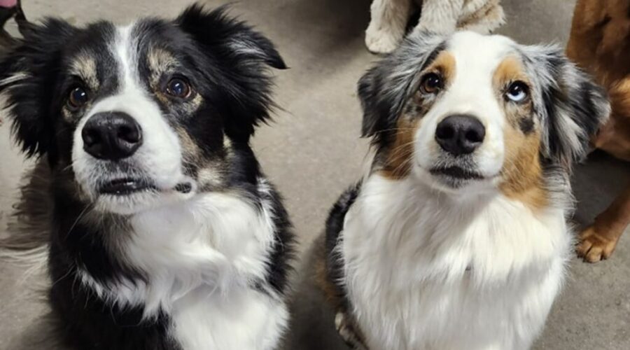 Antigonish construction traffic delays affect local businesses