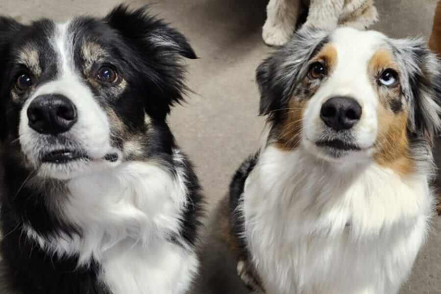 Antigonish construction traffic delays affect local businesses