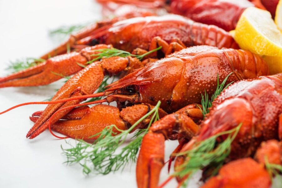 Chinese deal ‘great news for lobster industry’ says Lobster Council of Canada head