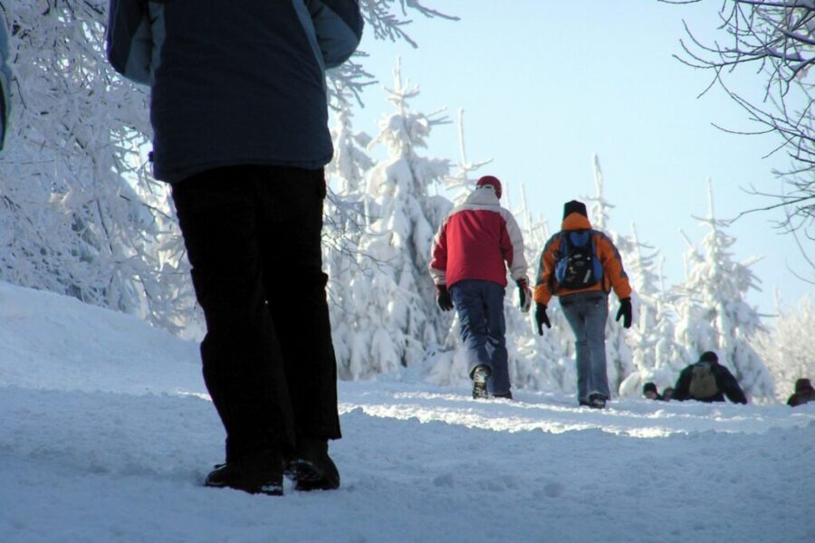 Weekly outdoor group walks available across Nova Scotia