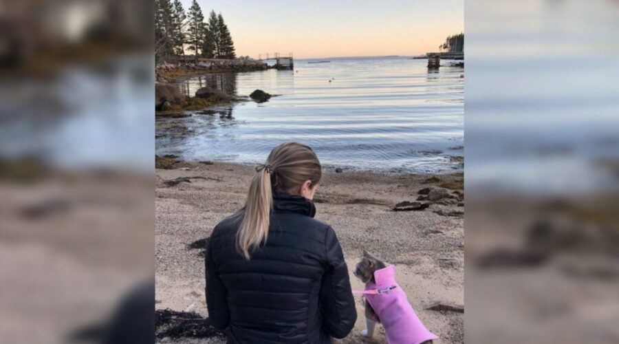 My Grandfather’s Cat marks 5-year milestone, helping more than 1,500 pets