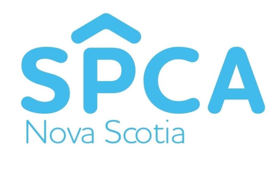 Dartmouth dog groomer charged for animal distress
