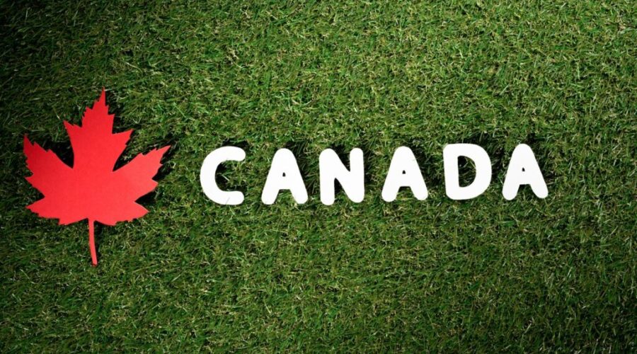 Strange Items You Can Request From the Canadian Government