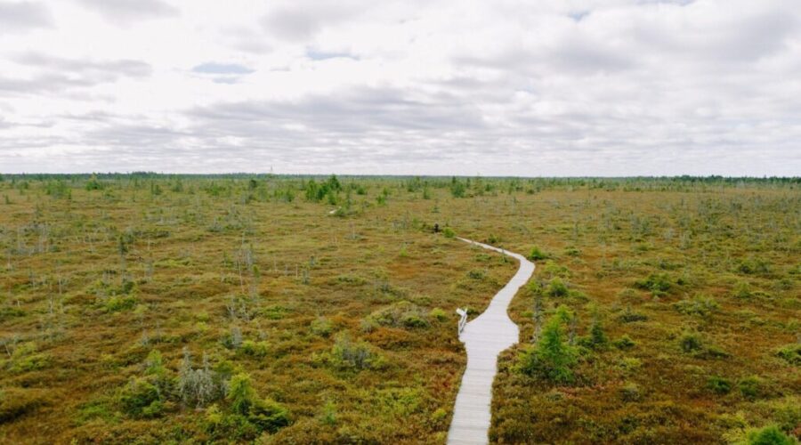 Wetland loss raising risks for Canadian communities