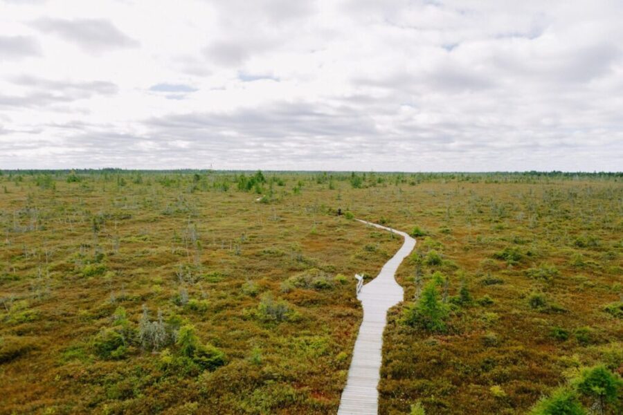 Wetland loss raising risks for Canadian communities