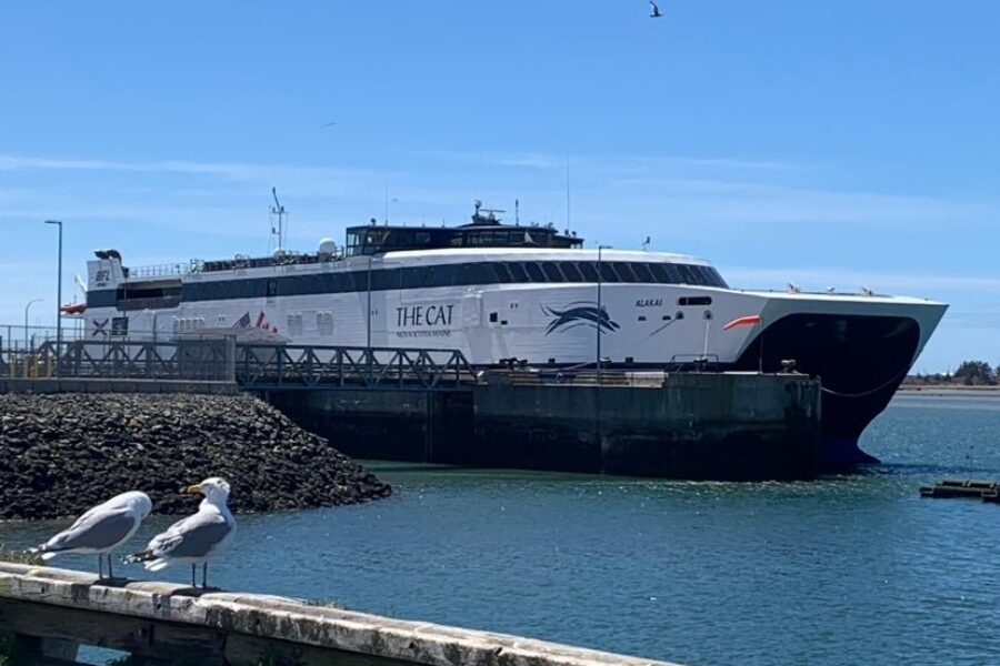 Hilton says ‘CAT’ ferry study is ‘positive’ as province looks to future