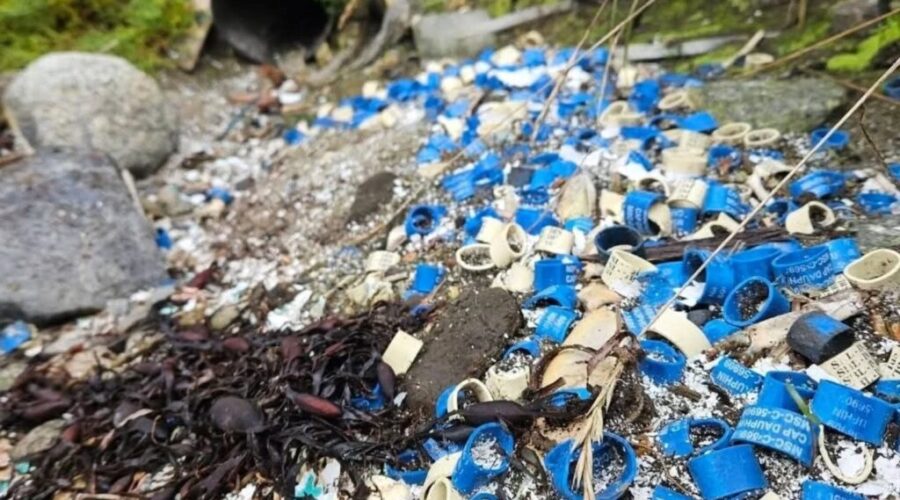 Scotian Shores clean-up thousands of lobster bands