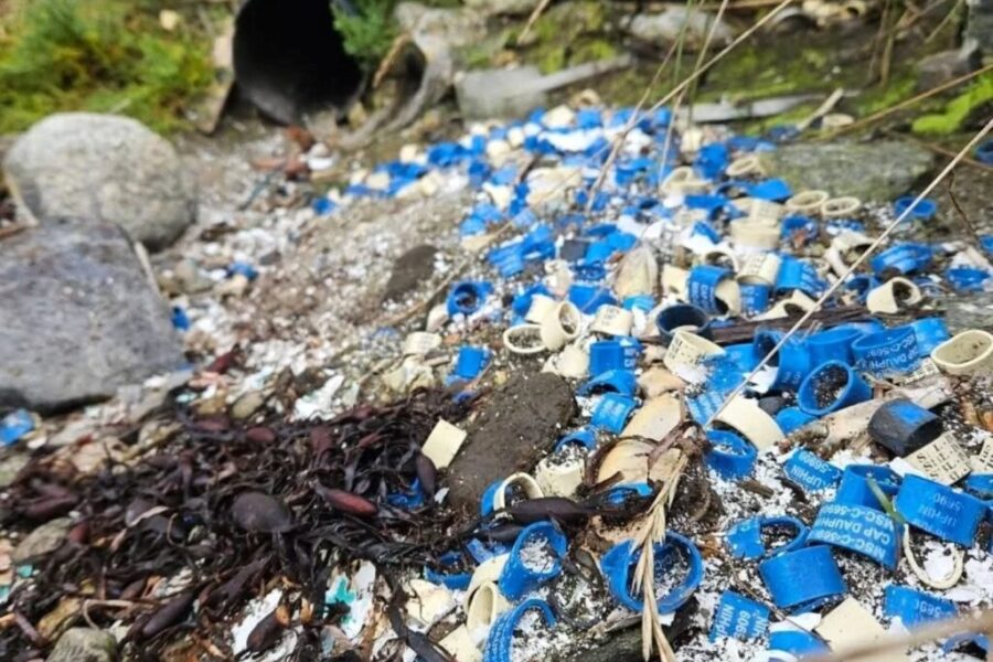 Track your beach cleanup with this new app