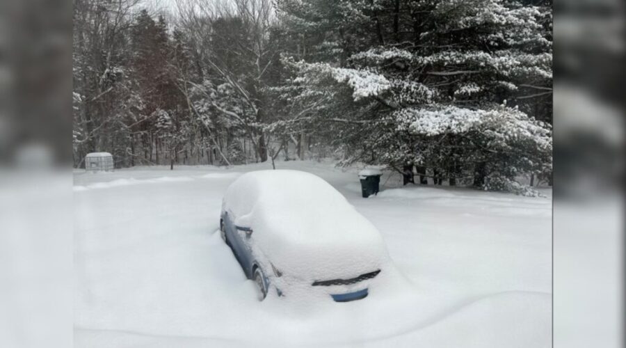 Wet snow, wind could knock out power during storm