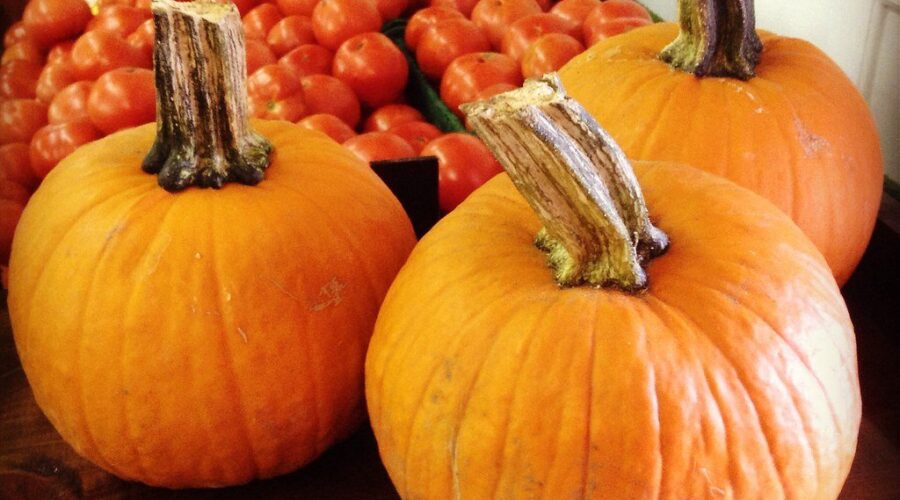 10 Interesting Things To Make From A Pumpkin!