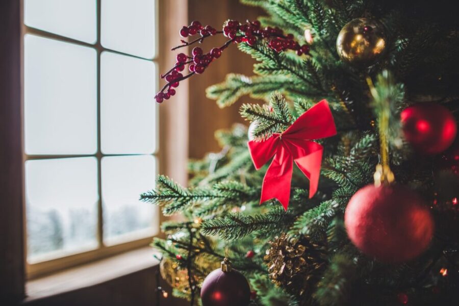 The Boston’s tree lighting ceremony virtual broadcast will be Tonight!! Here’s all the details and how to watch it!!