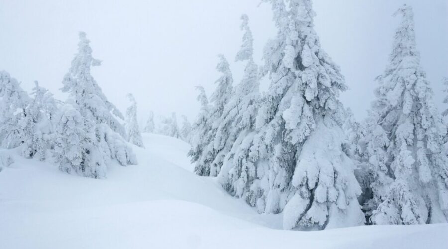 How “Thundersnow” Works