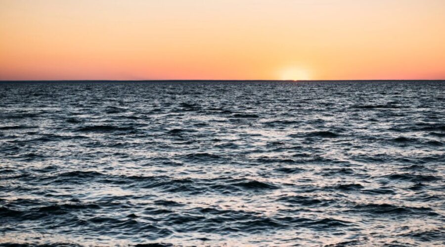 Free Willy! This Local Fisherman Captured Something Amazing on Camera!