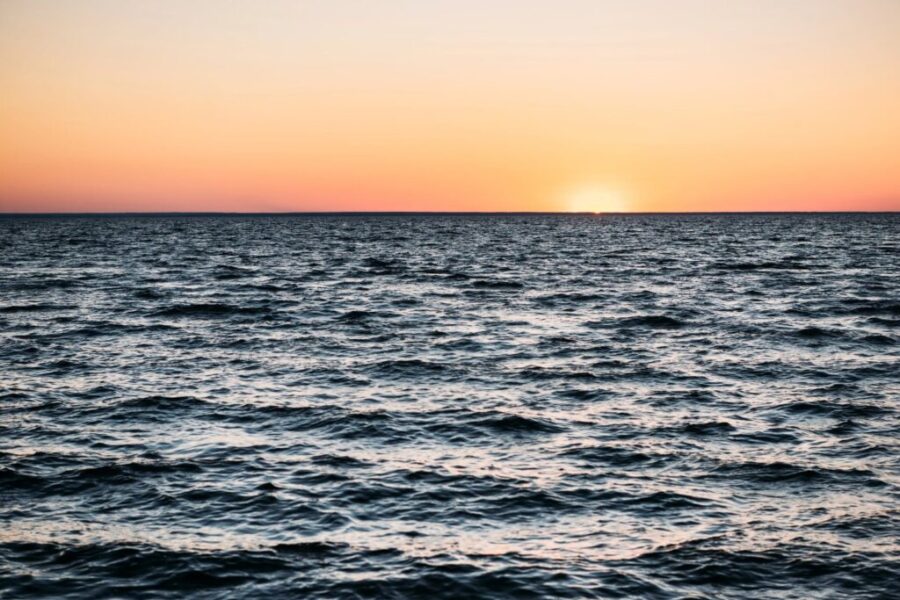 Free Willy! This Local Fisherman Captured Something Amazing on Camera!