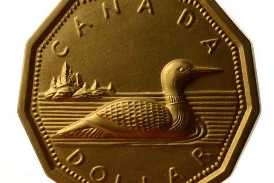 Have You Seen The King Yet? Have a Peak!