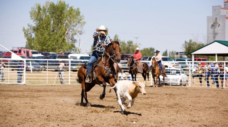 Nova Scotia Stampede won’t return for third year