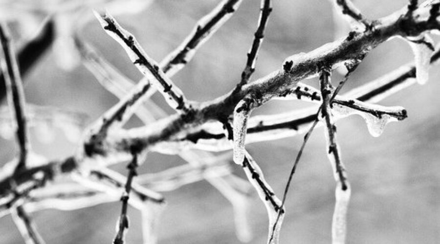 What the Almanac Says About Winter in Nova Scotia