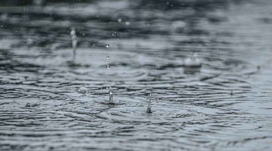 Heavy rain and strong winds hitting across Nova Scotia