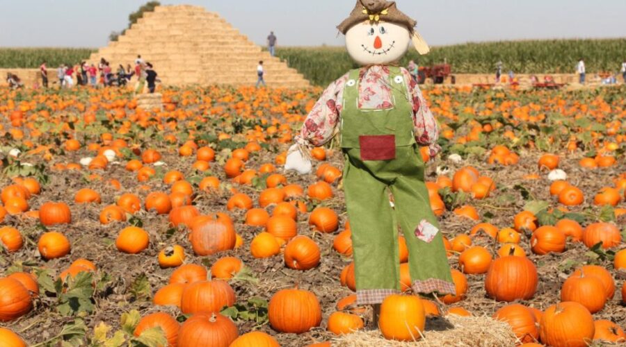 These Scarecrows Are Right Out Of A 90s Movie!