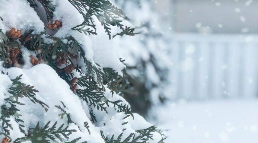 Dreaming Of A White Christmas? Here’s What The Old Farmer’s Almanac Says About Our Area!