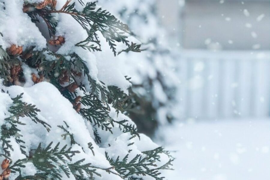 Dreaming Of A White Christmas? Here’s What The Old Farmer’s Almanac Says About Our Area!