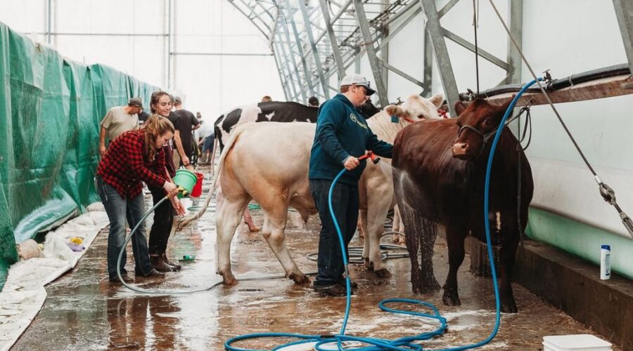 4-H Corner: March Update
