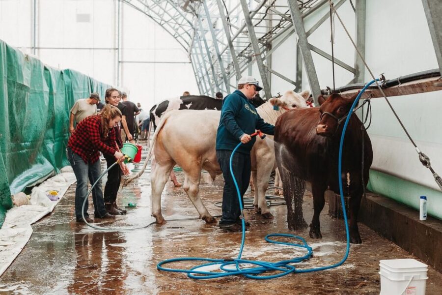 4-H Corner: March Update