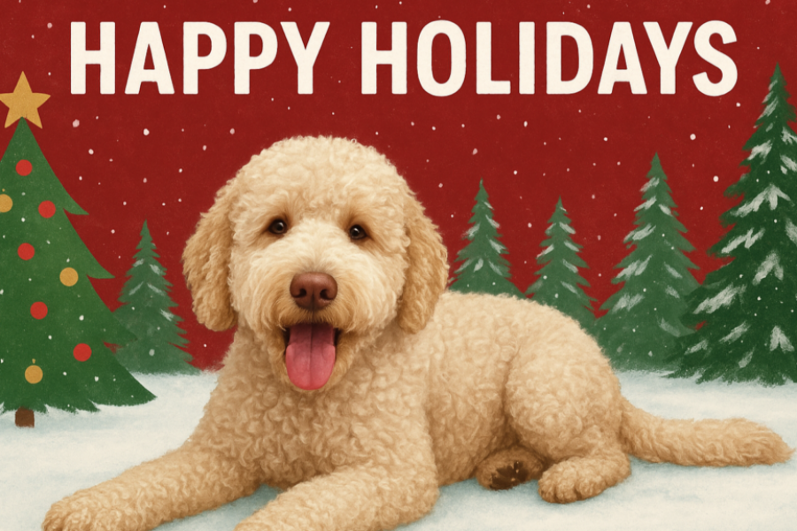 Happy Paw-lidays from Mack