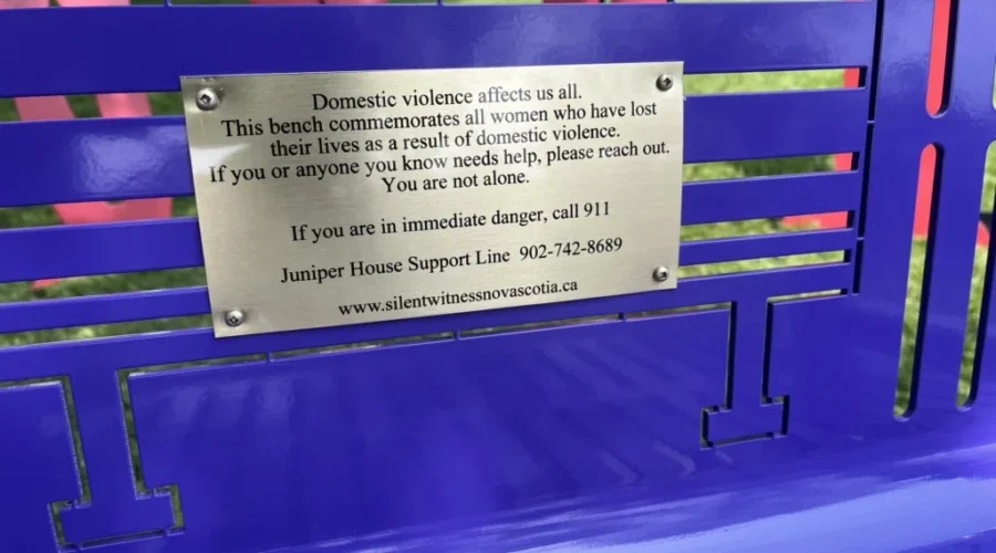 N.S. committee ‘hopeful’ on preventing future domestic violence deaths