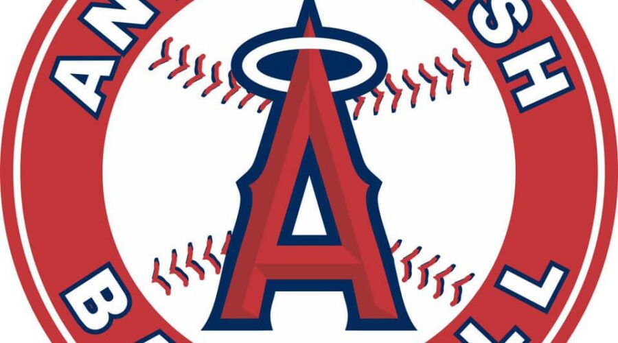 Here’s your sign (literally) to support Antigonish Challenger Baseball!