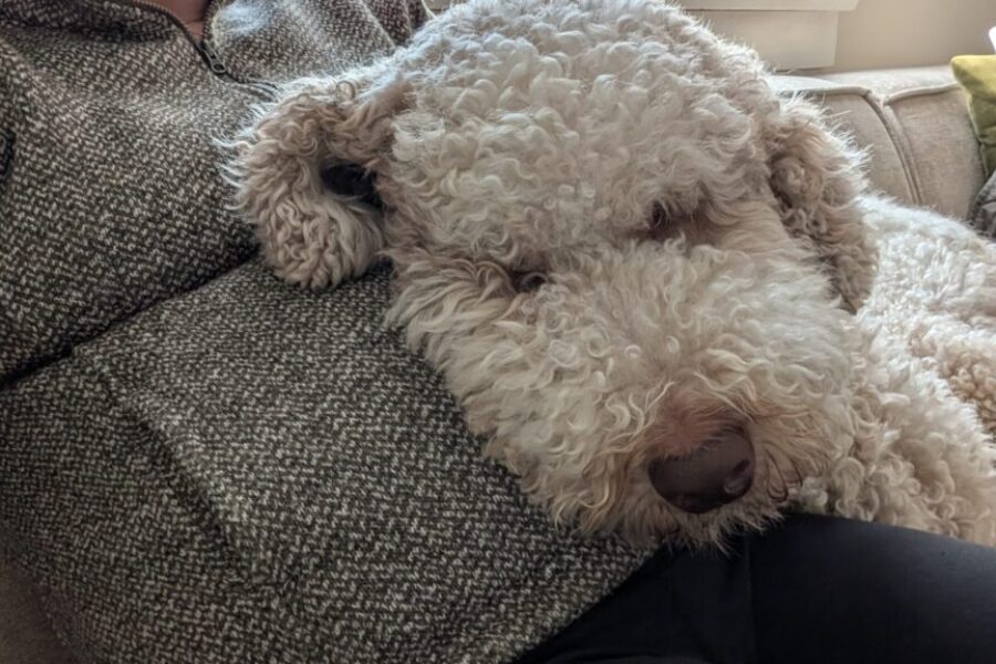 Apparently its mat leave, not Mack leave: a heartbreaking misunderstanding