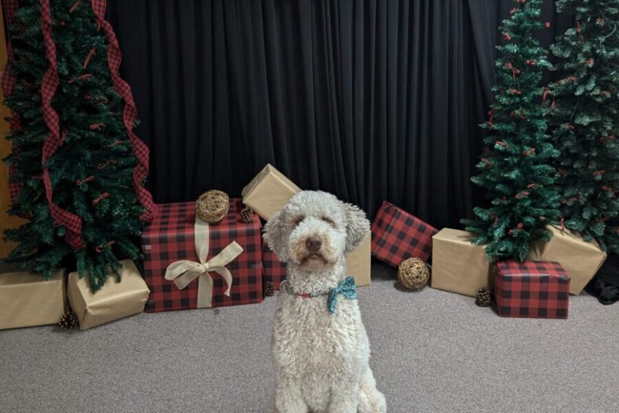 LEAKED: Mack’s letter to Santa Paws