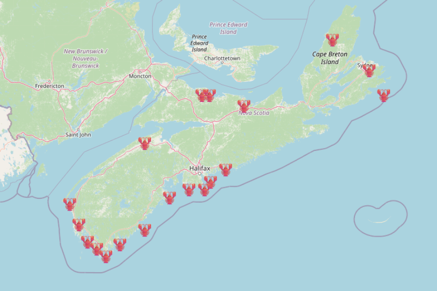 Here’s Where You Can Find All The Lobster Trap Christmas Trees!