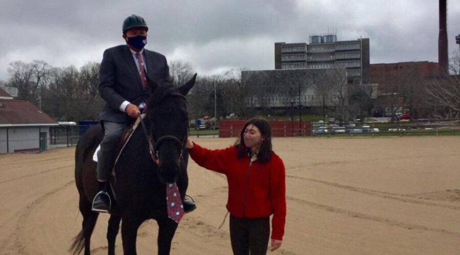 Meet Dr.Strang…….horse version!