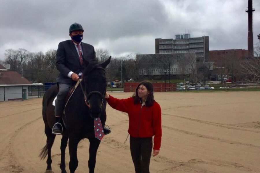 Meet Dr.Strang…….horse version!