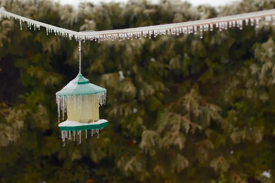 Freezing rain, mixed precipitation expected across Nova Scotia Friday