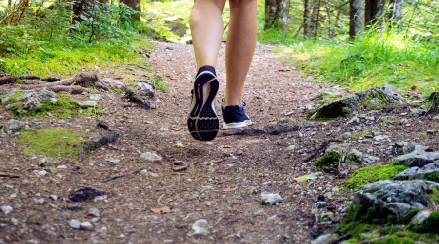 Cape Bretoner cleared of $28K+ woods ban fine