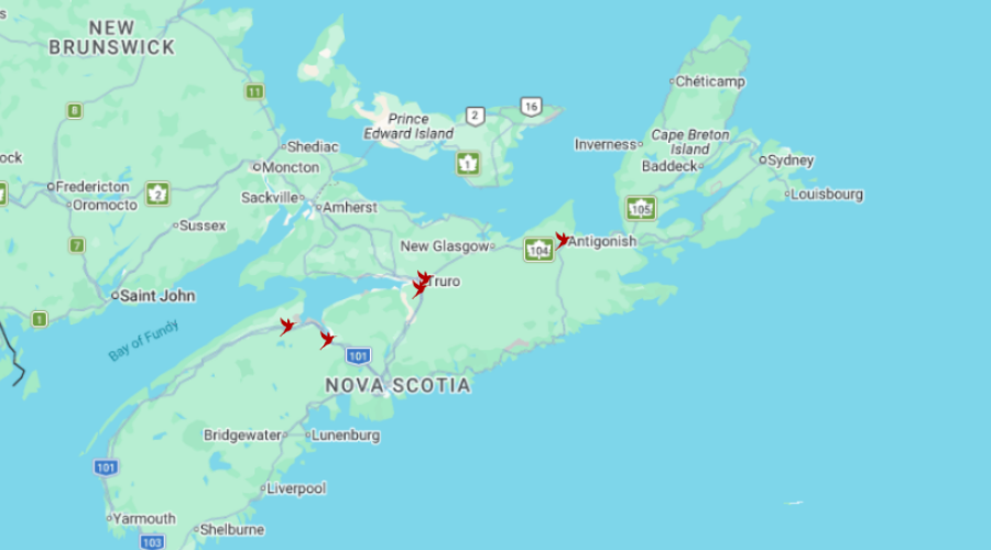 Hummingbirds have arrived in Nova Scotia