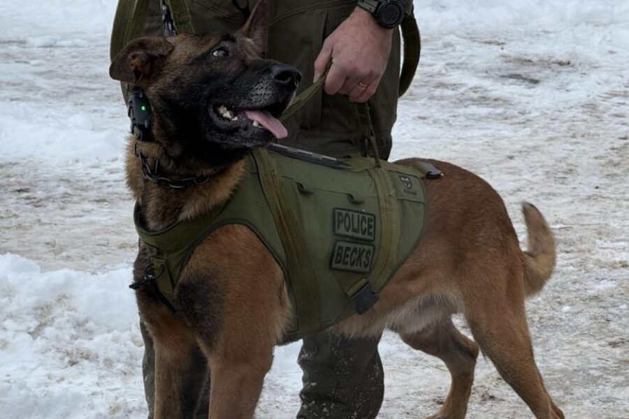 IPV-related incident leads to firearms arrest in Eastern Passage