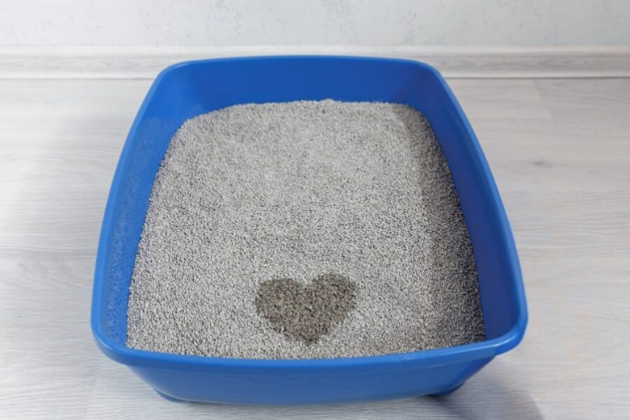 The inside scoop on litter boxes