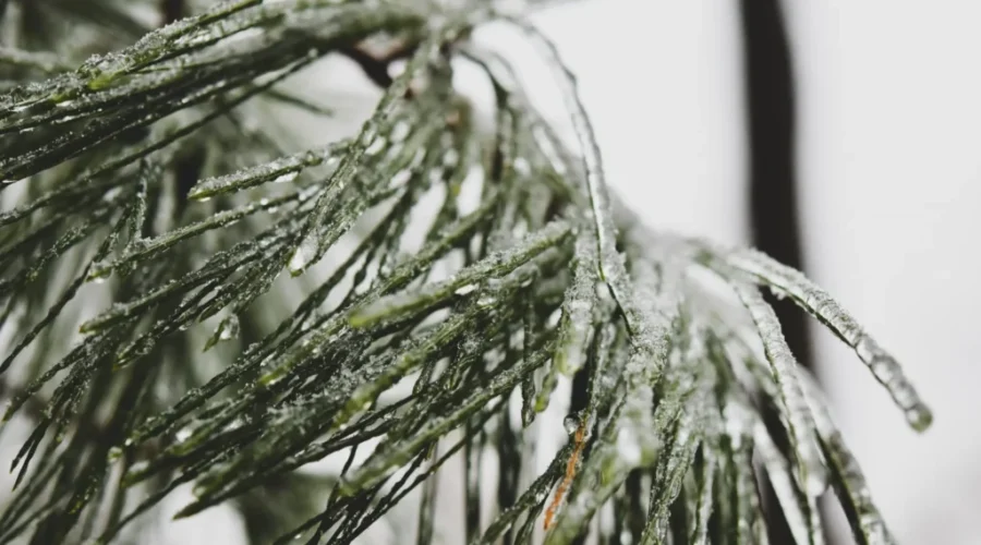 Frost advisory for most of N.S.