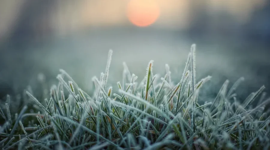 Frost advisory for all of Nova Scotia on Sunday night