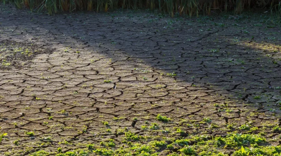 Province rolls out funding, new online tool to help communities manage drought