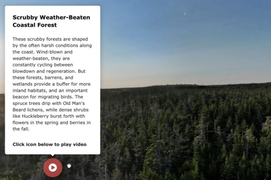 New online platform showcases Nova Scotia’s hidden natural landscapes